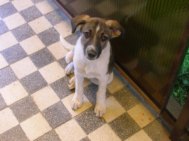 DSCN2854.JPG