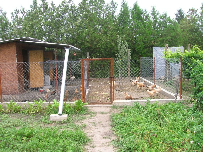 DSCN2855.JPG