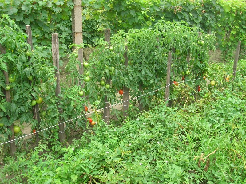 DSCN2857.JPG