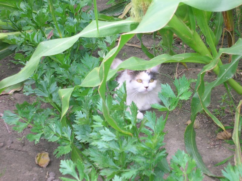 DSCN2860.JPG