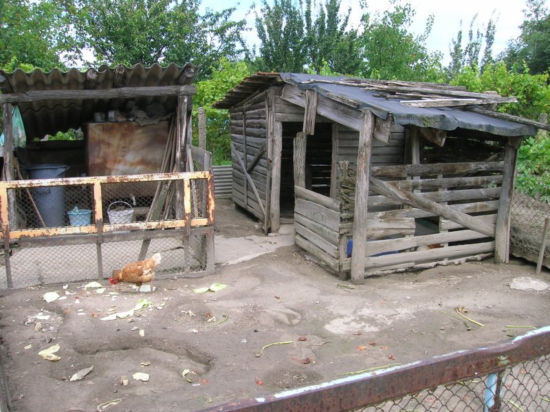 Hungary 2010