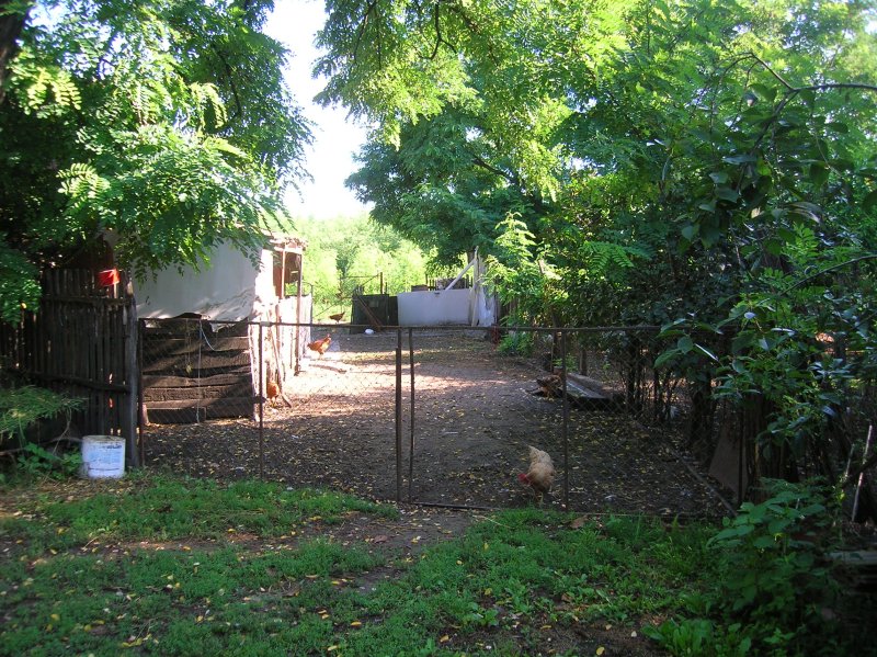 DSCN2769.JPG