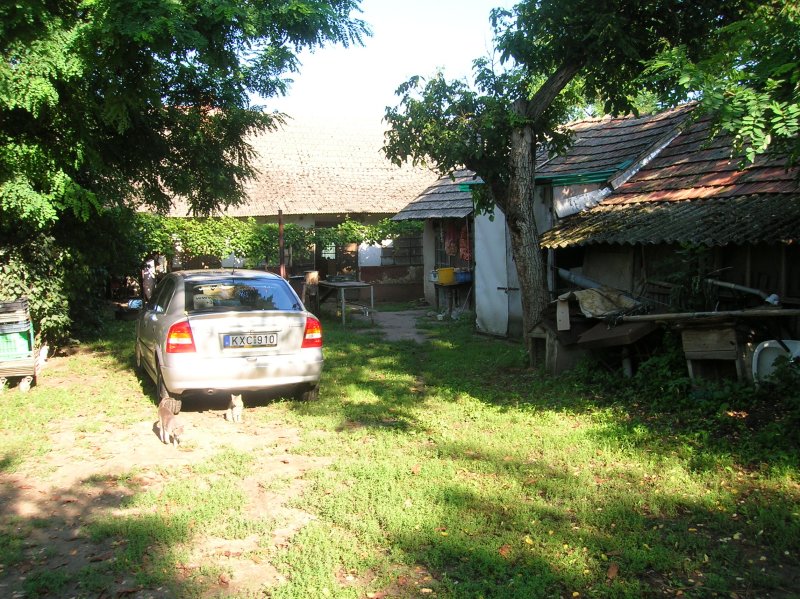 DSCN2771.JPG
