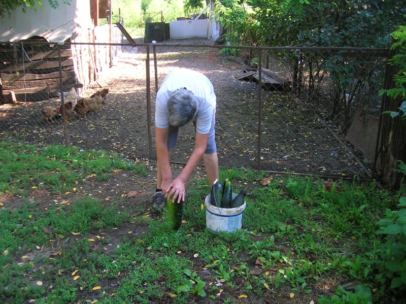 DSCN2772.JPG