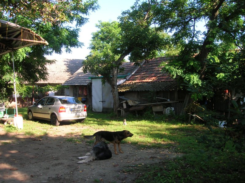 DSCN2778.JPG