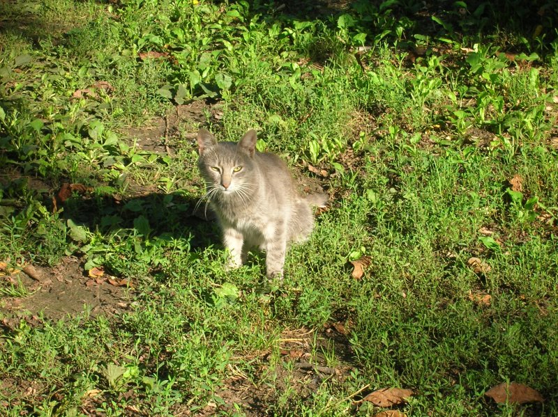 DSCN2779.JPG