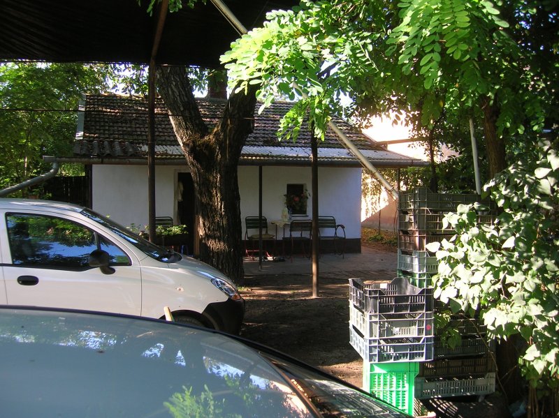 DSCN2782.JPG