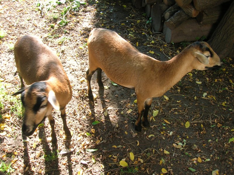 DSCN2784.JPG