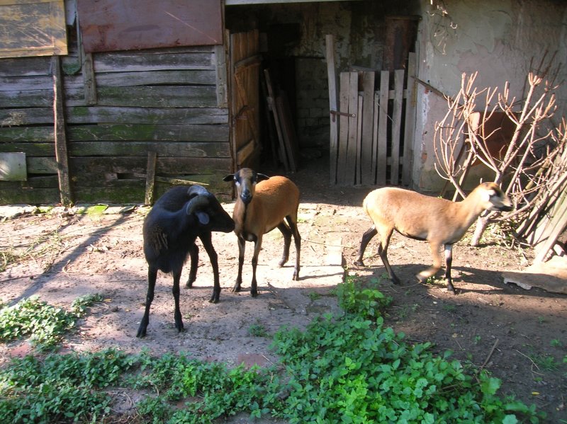 DSCN2787.JPG