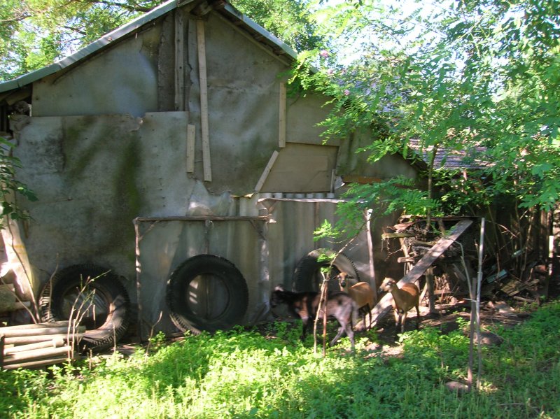 DSCN2791.JPG