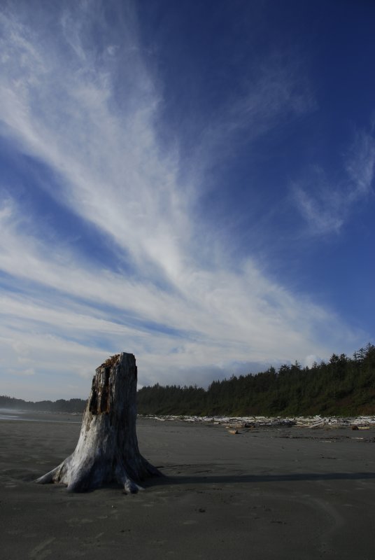 Long Beach, Tofino