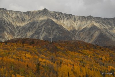 Views from the the Haines HWY, Yukon