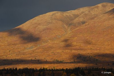 Views from the the Haines HWY, Yukon