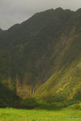 Waimanu Valley