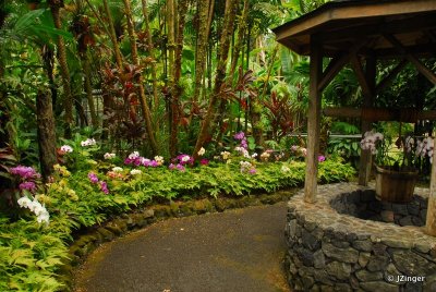 Hawai'i Tropical Botanical Gardens
