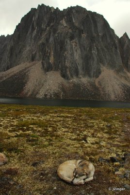 Talus Lake Tombstone Range, Yukon