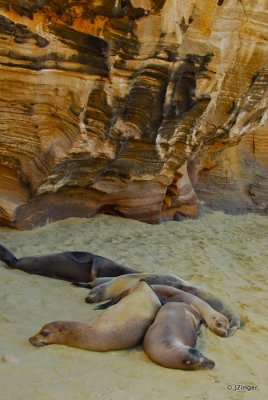 Punta Pitt, San Cristobal Island
