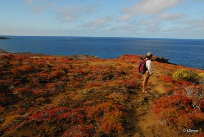 Views from Punta Pitt, San Cristobal Island