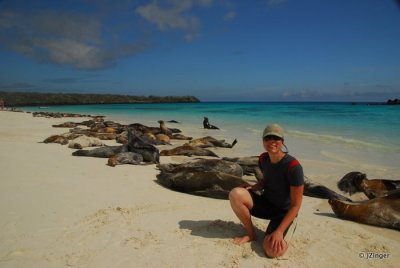 Sea Lions, Gardner Bay Espanola Island