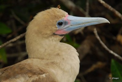DSC_0293.JPG