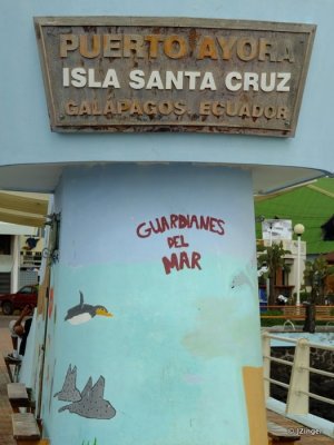 Puerto Ayora Harbour
