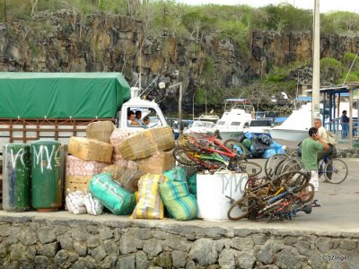 Puerto Ayora Harbour