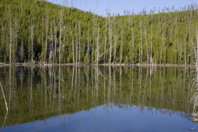 Nymph Lake reflection