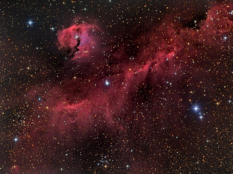 IC-2177 & NGC 2327 The Seagull Nebula / The Eagle Nebula