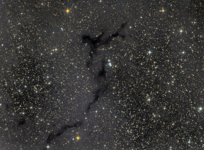 Barnard 150 The Seahorse Nebula