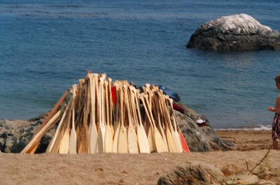 Oars at Parson's Cove, Catalina Is.