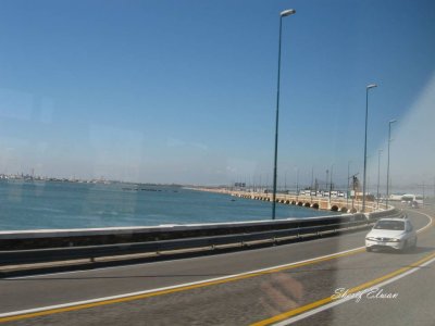 Venice 2011