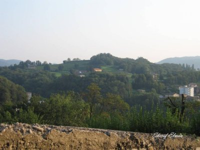 Slide10.JPG
