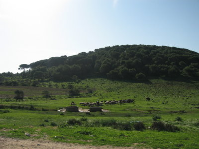 Tunisia (4).JPG