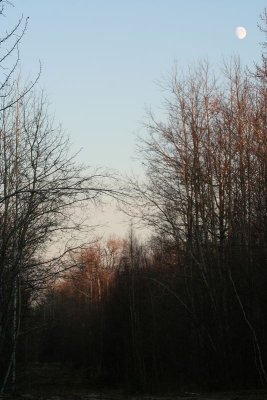 g4/27/998927/3/139458854.0j8siEYL.jpg