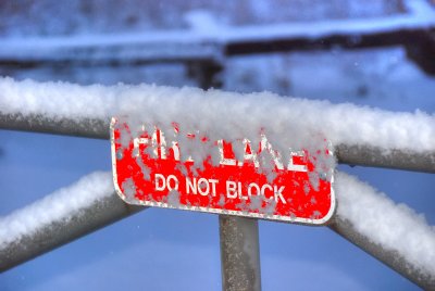 Frozen Lane