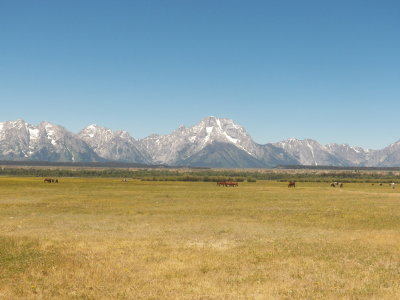 g4/28/1053828/3/145824641.OjGgLdZR.jpg