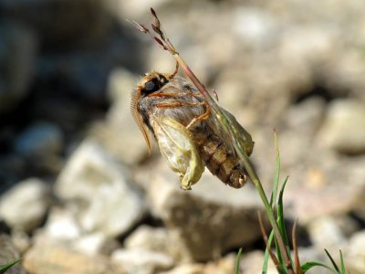 Small-IMG_1905.jpg