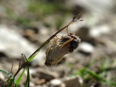 Small-IMG_1921.jpg