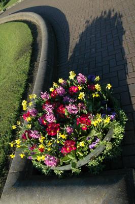 StPatsFlowers01.jpg