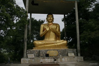 2103 Buddha