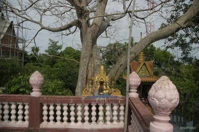2126 Wat Phnom Sampeau