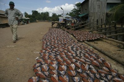 2310 Drying fish and Samel