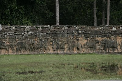 IMG_2534 Elephant Causeway