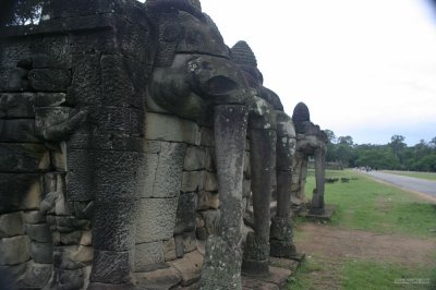 IMG_3001 Elephant Causeway