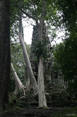 IMG_3054 Preah Palilay
