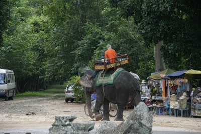 IMG_3311 Elephant Ride