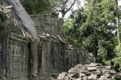 IMG_2573 Roots and Rock
