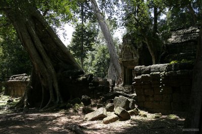 IMG_2694 Ta Prohm