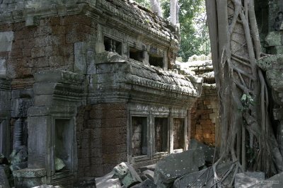 IMG_2734 Ta Prohm's mix of Laterite, sandstone and roots
