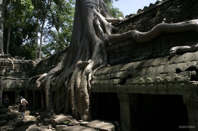 IMG_2744 Ta Prohm